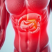 Fat Hidden Inside Muscle Emerges as a Powerful New Health Biomarker