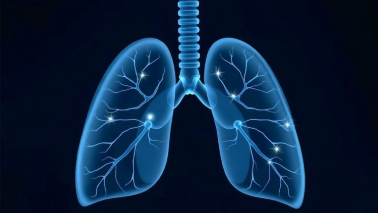 Landmark Real-World Study Will Track a Breakthrough Lung Cancer Drug Across China