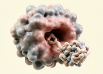 Hantavirus spike structure reveals recessed protocadherin-1 binding pocket