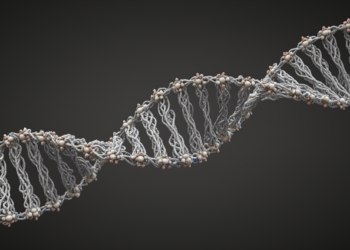 An atlas reveals the hidden “physical code” in the DNA sequence