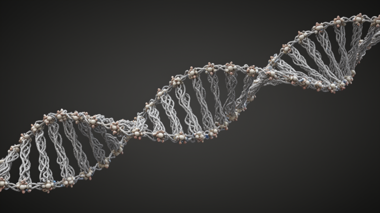 An atlas reveals the hidden “physical code” in the DNA sequence