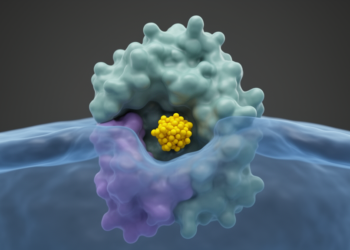 Computational screen identifies naringenin as a CXCR4-binding candidate