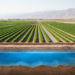 Study reconstructs five decades of groundwater loss in California’s Tulare Basin