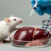 Epinephrine boosts thioredoxin expression and strengthens chlorpromazine liver protection in mice