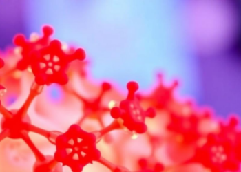 Rare Aggressive Sarcoma Shows Surprising Sensitivity to Targeted Small Molecules in New Lab Study