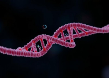 How a Single Gene Loss Helps Melanoma Outsmart Targeted Drugs