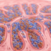 Early-onset colorectal cancer shows distinct immune-cell spatial patterns