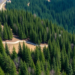 Drought Now Weakens Even Switzerland’s High-Altitude Protective Forests, Study Finds