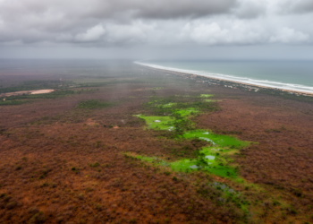 Northeast Brazil precipitation drought projections show heterogeneity and limited local trends