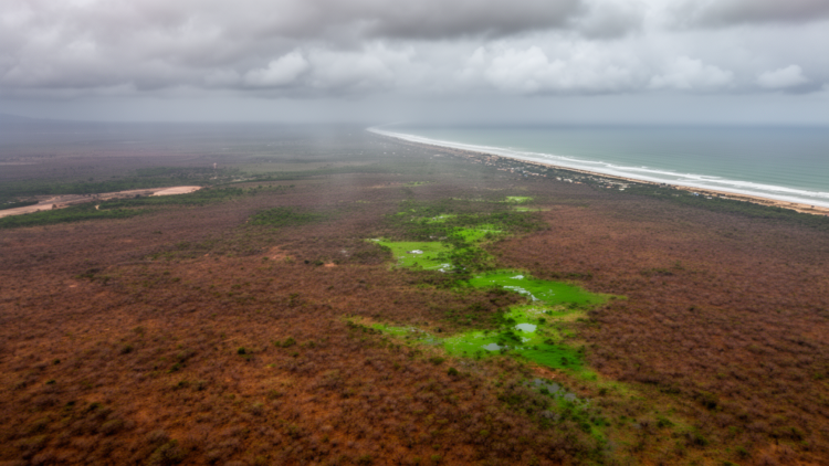 Northeast Brazil precipitation drought projections show heterogeneity and limited local trends