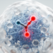 Fibril-selective nanantibody reduces amyloid injury signals in human brain models