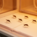 Warming Alters Mosquito Morphology, Not Transmission Risk Uniformly