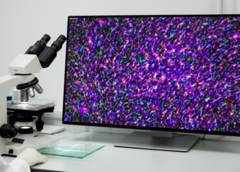 SlidePrep removes chamber grids and reconstructs whole-slide microscopy images