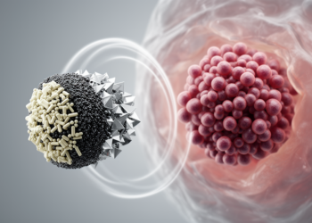 Research report: Pluronic F-127-functionalized magnetic ternary hybrid nanoparticles for co-delivery of paclitaxel and psoralen: a synergistic strategy to overcome multidrug resistance in triple-negative breast cancer
