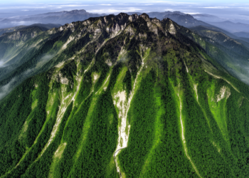 Google Earth Engine maps Fanjing Mountain vegetation change and zonation