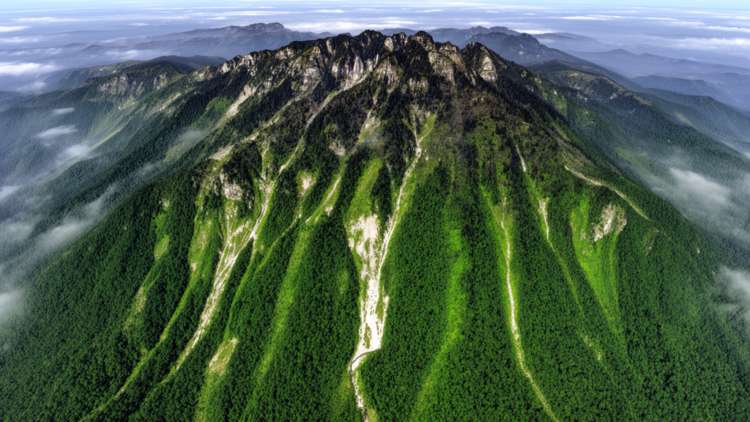 Google Earth Engine maps Fanjing Mountain vegetation change and zonation