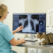 Systematic review finds limited validation of AI diagnosis in dogs and cats