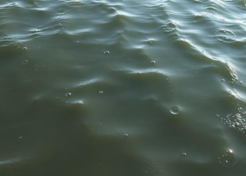 Tuned Neural Network Sees Through Murky Ocean Water to Spot Objects with Near-98 Percent Accuracy