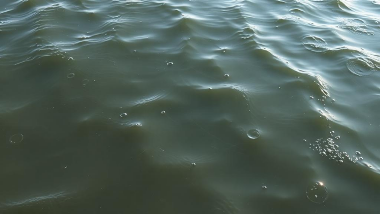 Tuned Neural Network Sees Through Murky Ocean Water to Spot Objects with Near-98 Percent Accuracy