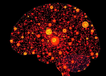 Massive Single-Cell Map of Childhood Brain Tumor Reveals Immune Signal That Predicts Survival