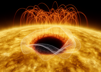 Deep Learning Reads Active Region Shape to Forecast Solar Flares