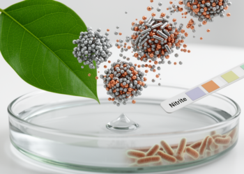 Plant-based silver-copper oxide nanocomposite senses nitrite and curbs bacteria