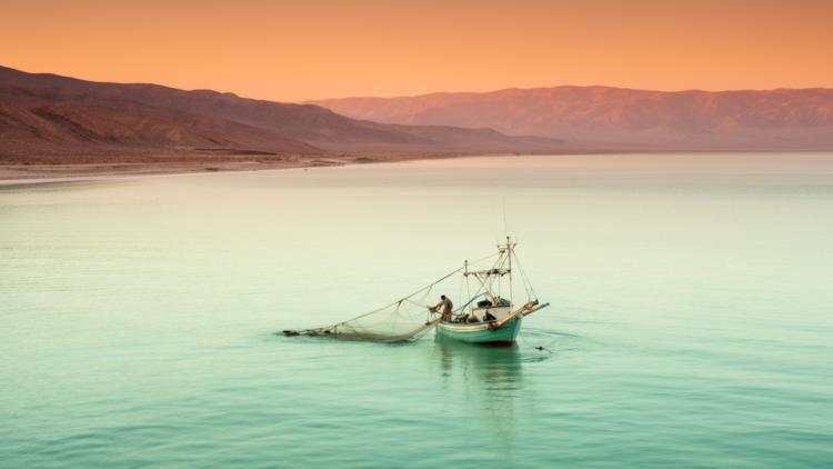Warming Seas Shrink the Gulf of California’s Most Productive Waters, 22-Year Satellite Record Shows