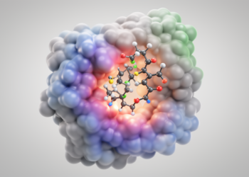 Ebelin lactone from Bacopa shows strongest computational binding to neuritin and mortalin