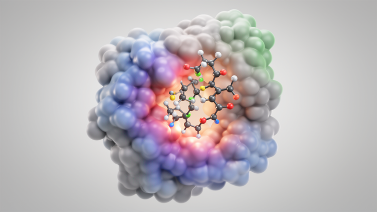 Ebelin lactone from Bacopa shows strongest computational binding to neuritin and mortalin