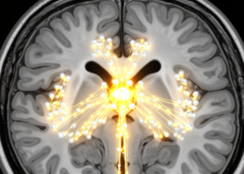 Rat Brainstem Study Traces Acetylcholine Signals That Steady Gaze to a Single Vestibular Source