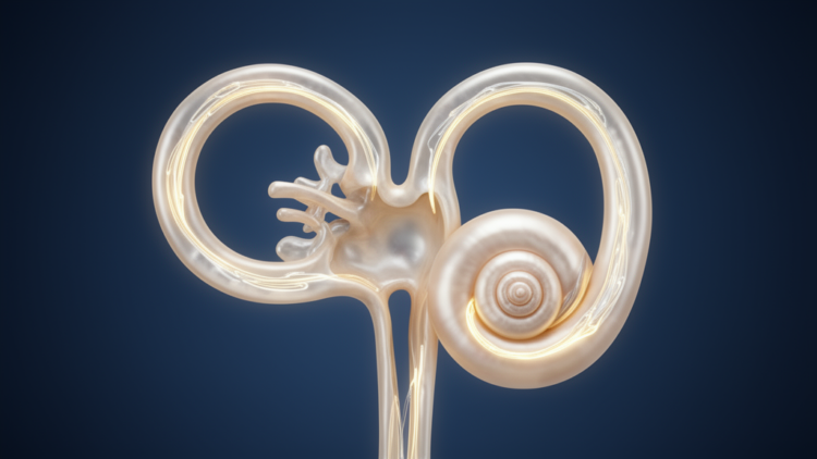 Rare Inner Ear Disorder May Have Struck All Three Balance Canals at Once