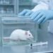 Istradefylline Blocks Oxygen-Induced Seizures in Mice, Study Finds