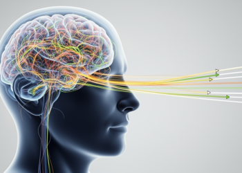 Drivers’ Brains Simplify: Eye, Head and Steering Movements Collapse Onto Few Dimensions at Hazardous Moments