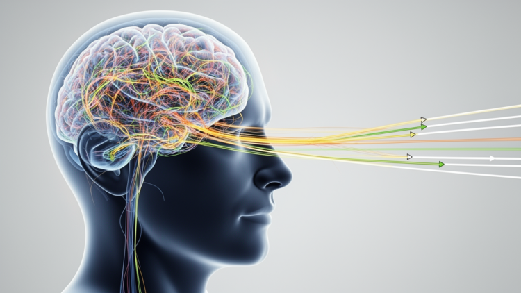 Drivers’ Brains Simplify: Eye, Head and Steering Movements Collapse Onto Few Dimensions at Hazardous Moments