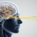 Drivers’ Brains Simplify: Eye, Head and Steering Movements Collapse Onto Few Dimensions at Hazardous Moments