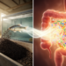 Insect Feed Does More Than Feed: Gut Microbe Shifts Detected Across Livestock and Fish