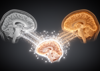 Two-Stage Feedback Network Aims to Sharpen Multimodal Medical Image Fusion