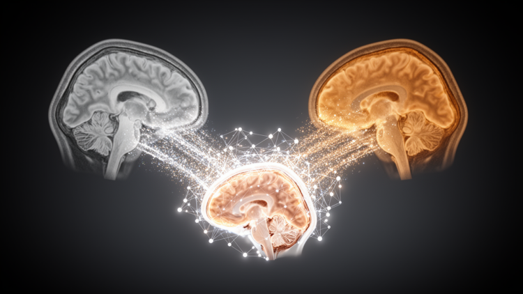 Two-Stage Feedback Network Aims to Sharpen Multimodal Medical Image Fusion
