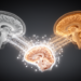 Two-Stage Feedback Network Aims to Sharpen Multimodal Medical Image Fusion
