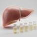 GLP-1 Therapies May Modestly Reduce Global Liver Disease Burden