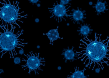 Frozen but Faithful: Single-Cell Study Shows Cryopreserved Insulinoma Cells Keep Their Transcriptomic Identity