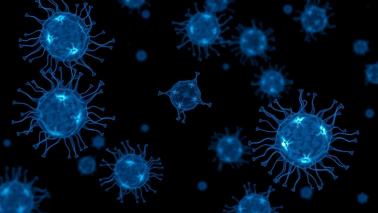 Frozen but Faithful: Single-Cell Study Shows Cryopreserved Insulinoma Cells Keep Their Transcriptomic Identity