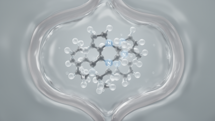 Benzimidazole Hydrone Derivatives Show Strong Gastroprotective Potential
