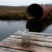 PFAS Detected in Alaska Fish Near Industrial Infrastructure
