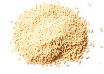 Dopamine Doubles as a Salt Shield and a Steroid Booster in Fenugreek