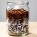 Date Pomace Waste Becomes a Growth Medium for Lion’s Mane and Turkey Tail Mushrooms