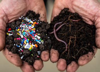 Biodegradable Microplastics Are Not Benign: Soil Review Reveals Context-Dependent Effects