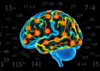 Brain Signals Reveal Why Some Children Struggle With Math Problem Solving