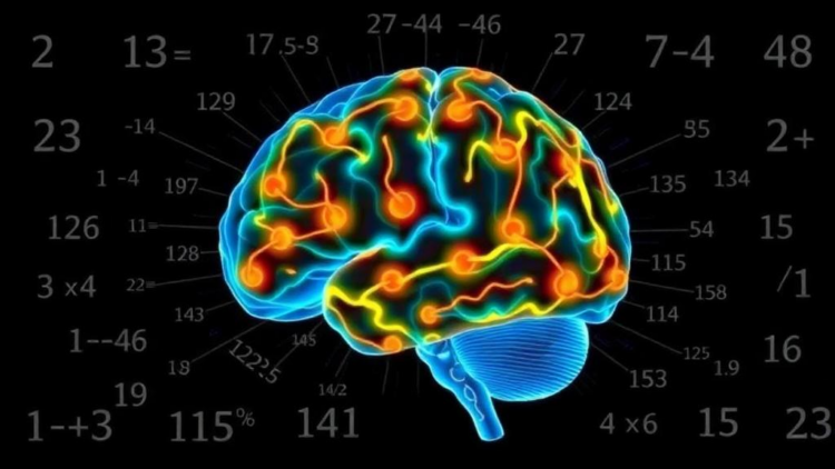 Brain Signals Reveal Why Some Children Struggle With Math Problem Solving