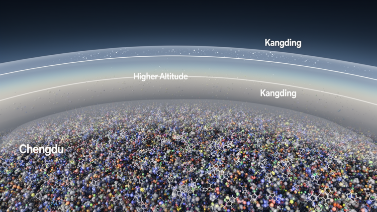 Altitude Divides PM2.5: Chengdu and Kangding Show Contrasting Aerosol Chemistry